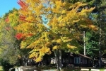 2014-09-23 09.22.35